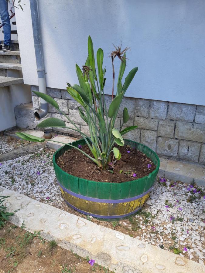 Apartman Vede Bacina Exterior photo