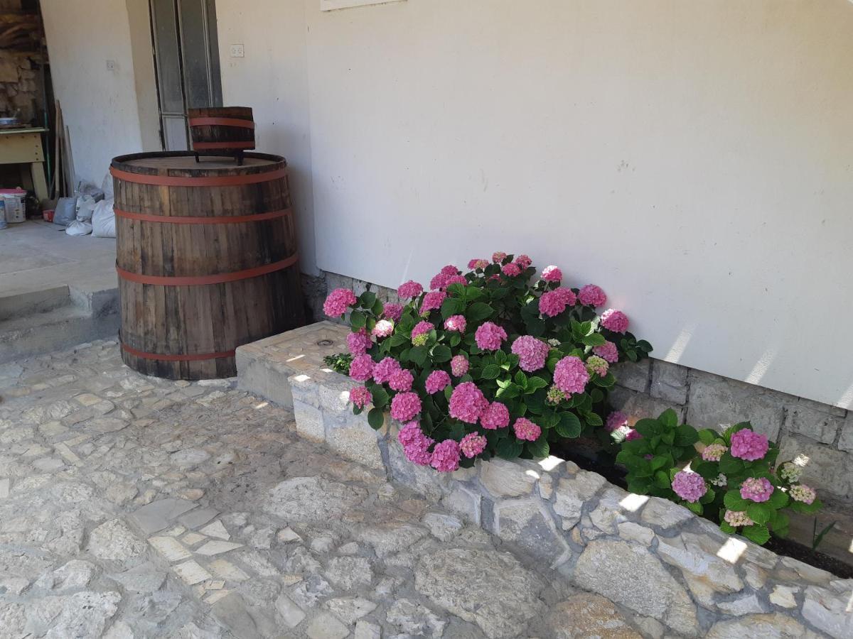 Apartman Vede Bacina Exterior photo